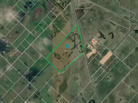 Campo de 131 has en Venta en Florencio Varela