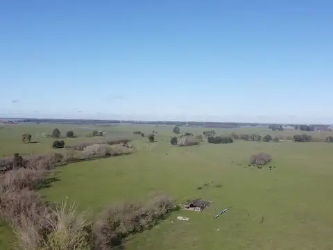 Campo en Venta de 131  ha