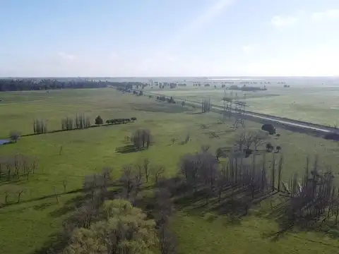 Campo de 131 has en Venta en Florencio Varela