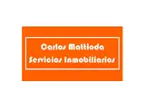 Carlos Mattioda S I