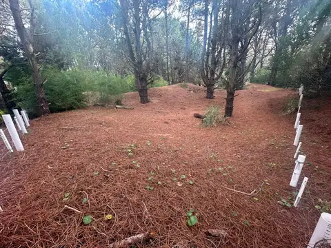 Terreno en Venta en Costa del Este, Partido de La Costa