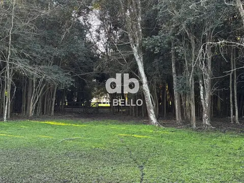 Benquerencia al 200