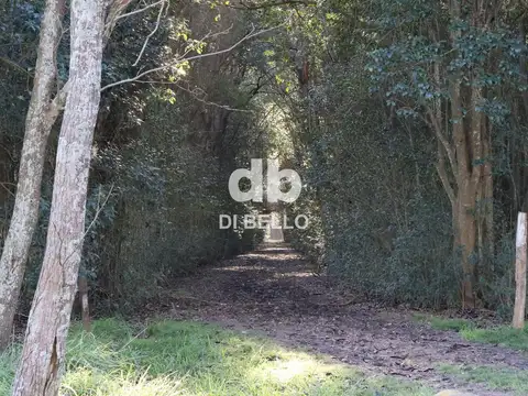 Chacra en Estancia Benquerencia