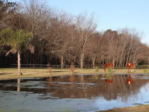 Chacra en Estancia Benquerencia