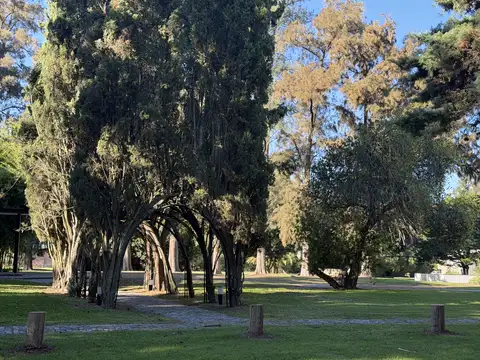 Terreno en Venta de 600,0 m2