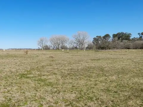 Terreno en Venta en General Juan Madariaga, USD 18.000