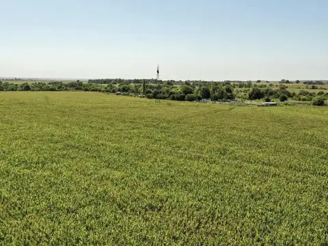 Campo productivo de 136 has en Los Molinos, Cordoba