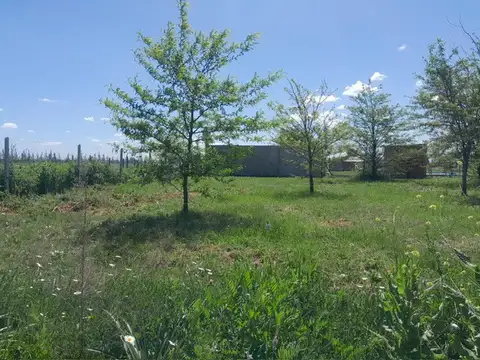 Terreno en Venta de 1,0 m2