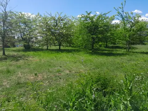 Terreno en Venta en Pontevedra, USD 15.000