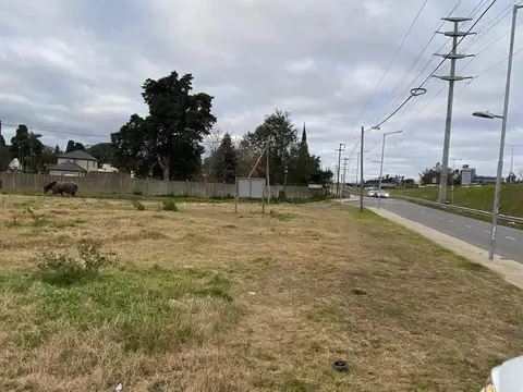 LOTE ALQUILER COLECTORA KM 54,5