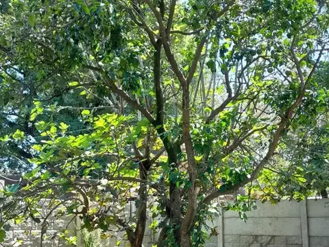 Terreno en Venta de 395,0 m2