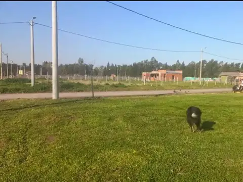 Terreno en Venta de 362,0 m2