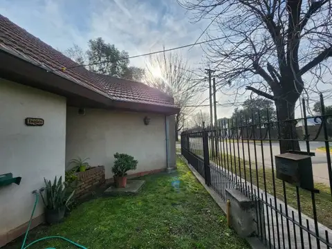 Griveo 509 , Piso No definido