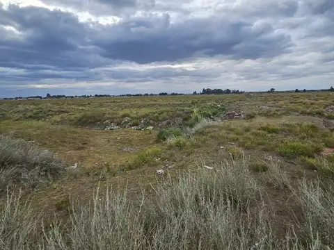 Terrenos en Venta Punta Alta