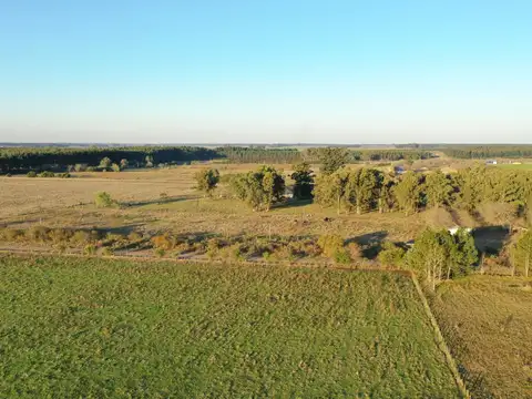 Villa Elisa Ruta 130