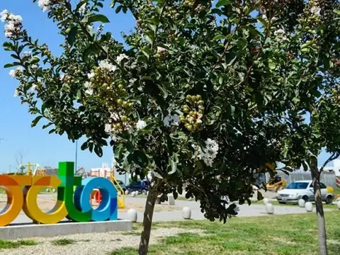 Terreno en Venta 21  mts Fondo
