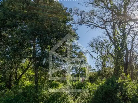 VENDO TERRENO EXCLUSIVO SAN LORENZO