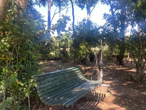 manzana sobre barranca al rio Paraná en Ituzaingó v41