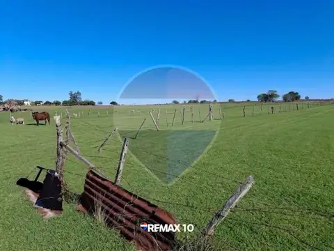 Oportunidad Chacra de 2 Hectáreas en Venta