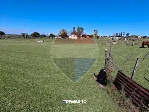 Oportunidad Chacra de 2 Hectáreas en Venta