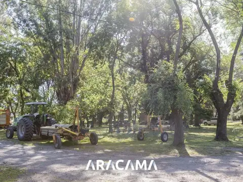 C. Sierra Grande