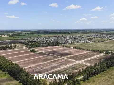 C. Sierra Grande