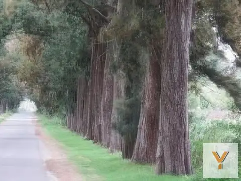 Terreno en Venta en Abasto, Partido de La Plata