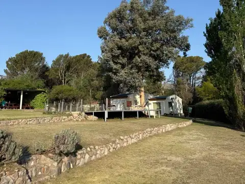 dolores 100