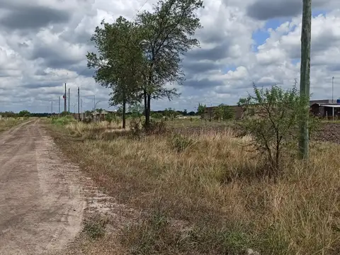 Av Caacui