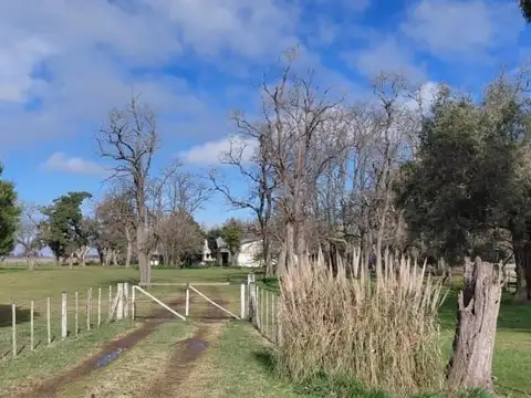 VENTA CAMPO MIXTO DE 297 HECTÁREAS - AYACUCHO
