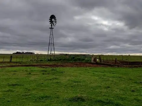 Venta campo mixto de 297 hectáreas - ayacucho