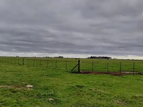 VENTA CAMPO MIXTO DE 297 HECTÁREAS - AYACUCHO