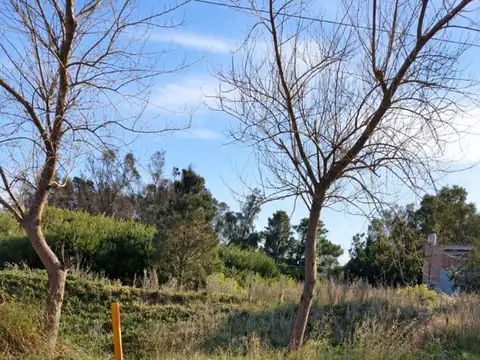 Terreno en Venta de 350,0 m2
