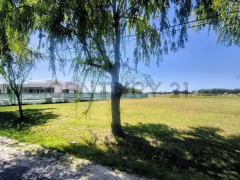 Brandsen ruta 2 Campo de roca ll - Lote N° en venta