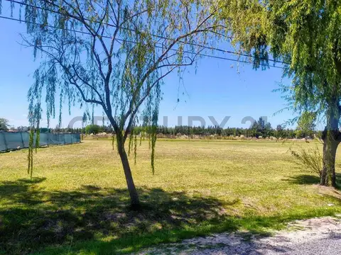 Campos de Roca ll brandsen , Piso 0