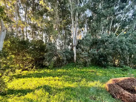Terreno en Venta en Pinamar, USD 95.000