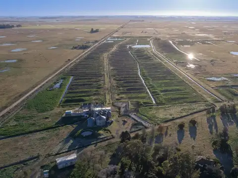 Feedlot en venta 102ha Las Flores