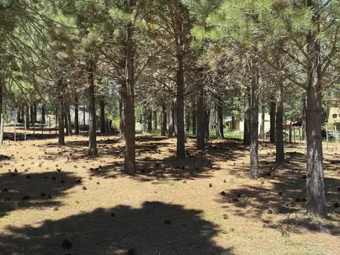 Terreno en Venta en Trevelin, USD 35.000