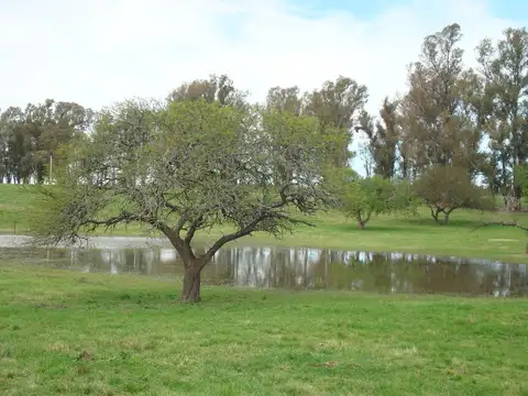 Terreno en Venta de 4253,0 m2