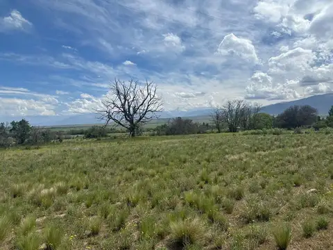 Ruta Provincial 89