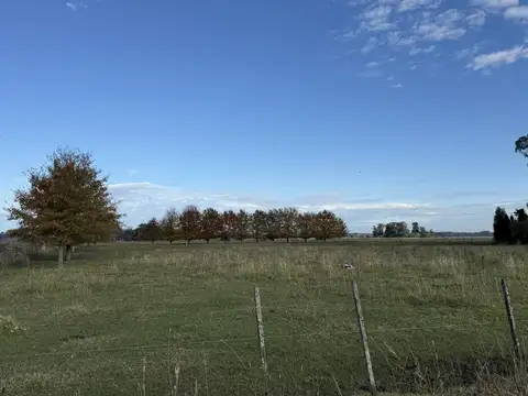 5 Has. Chacra en San Andrés de Giles