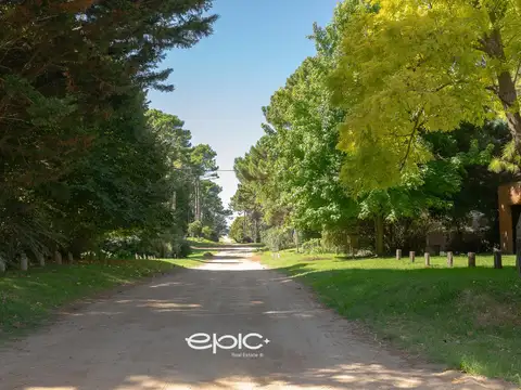 Casa en alquiler en Pinamar a 3 cuadras del mar