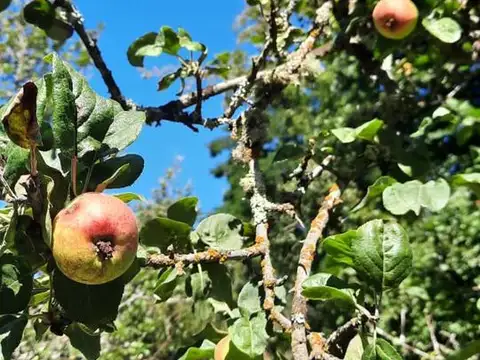 Casa en Venta de 1 dormitorio