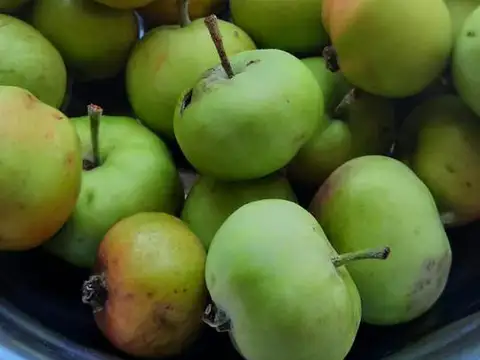Peninsula San Pedro, San Carlos de Bariloche