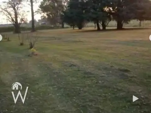 Vendo o Permuto campo de 32 hectáreas en San Pedro