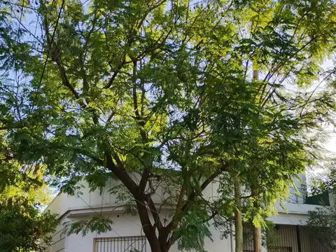 Casa en alquiler 3 ambientes con terraza y espacio multifunción en Merlo