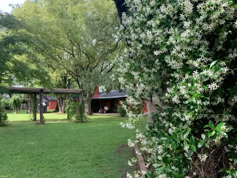 Chacra en venta de 15000m2 ubicado en Zelaya