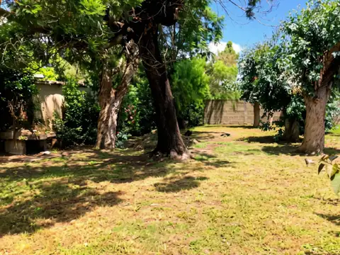 Barón de Río Branco y Simón Bolívar 100