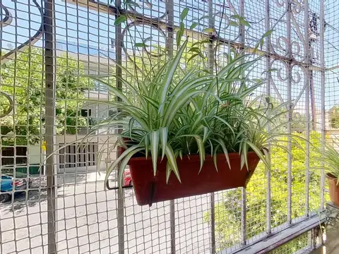 Casa 10 ambientes con 3 baños