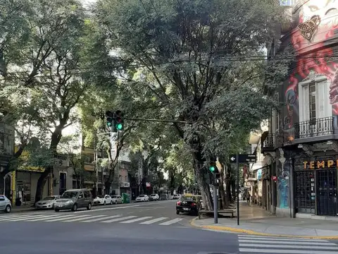 Av Pedro Goyena al 100